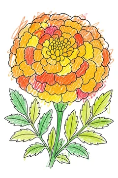 Colored example 1