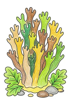 Colored example 2