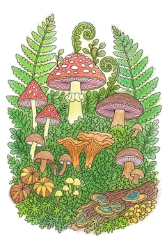 Colored example 1