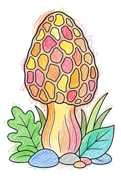 Colored example 1