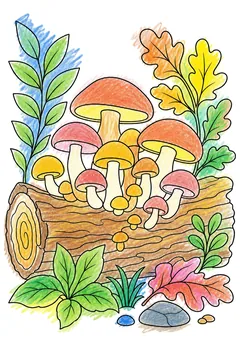 Colored example 1