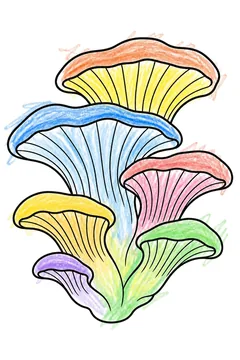 Colored example 1