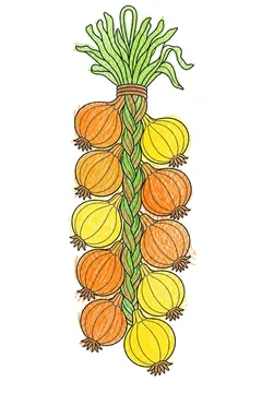 Colored example 2