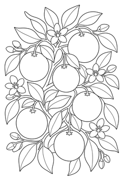Orange Tree Branch line art