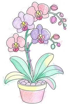 Colored example 1
