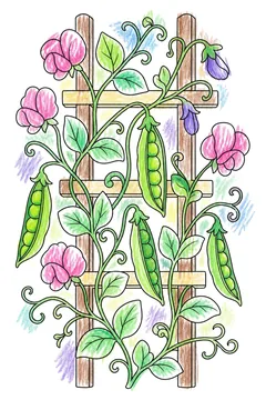 Colored example 1