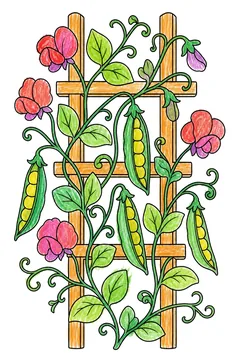 Colored example 3