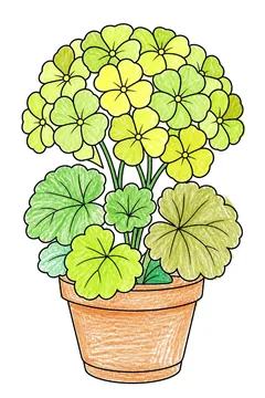 Colored example 3