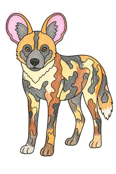 Colored example 3