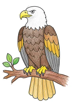 Colored example 2