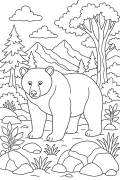 Black Bear line art