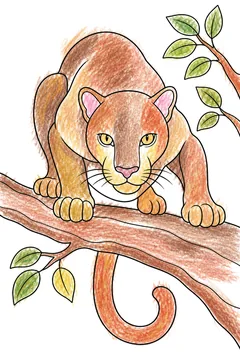 Colored example 1