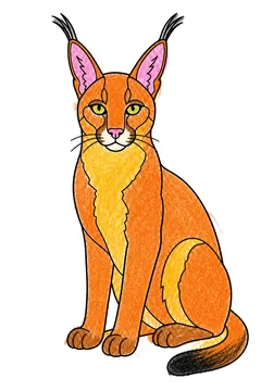 Colored example 2