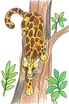 Colored example 1
