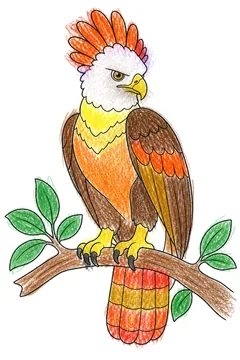 Colored example 1
