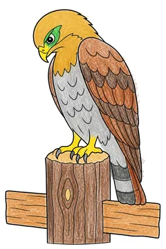Colored example 2