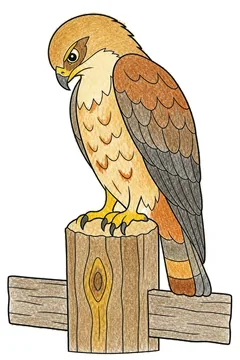 Colored example 3