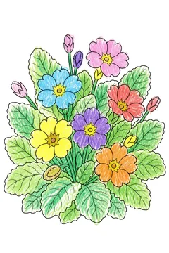 Colored example 1