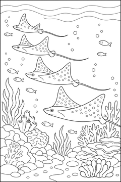 School of Eagle Rays line art