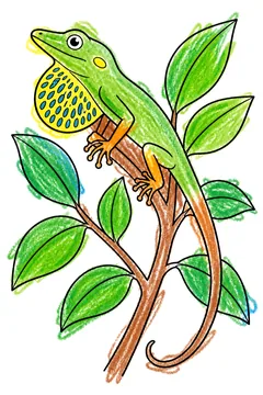 Colored example 1