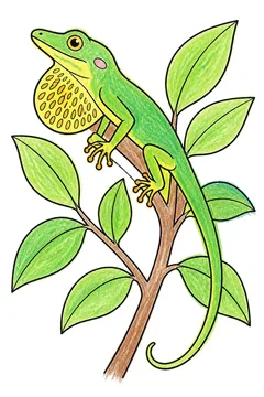 Colored example 2