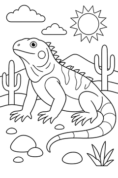 Desert Iguana line art