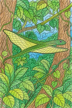 Colored example 2