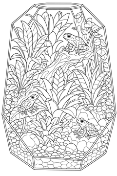 Frog Vivarium line art