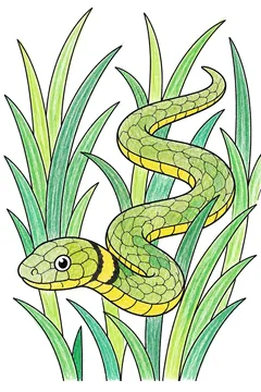 Colored example 2