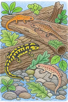 Colored example 2