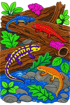 Colored example 3