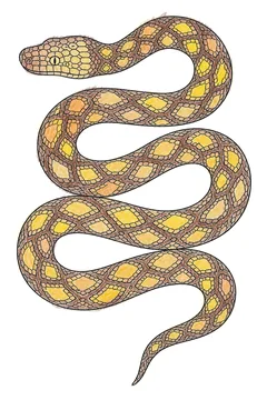 Colored example 2