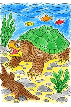 Colored example 1