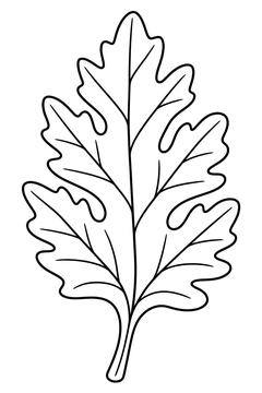 Leaf Of Bitter Herbs line art