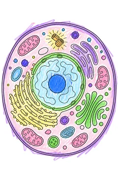 Colored example 1