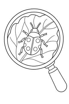 Magnifying Glass Over a Bug line art