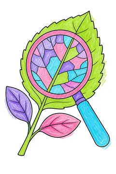Colored example 2