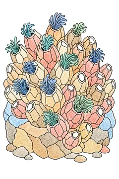 Colored example 3