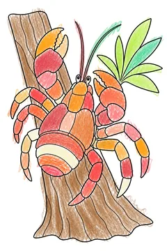 Colored example 1
