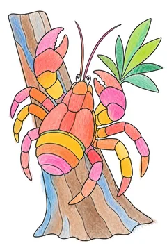 Colored example 3