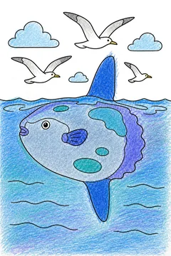 Colored example 2
