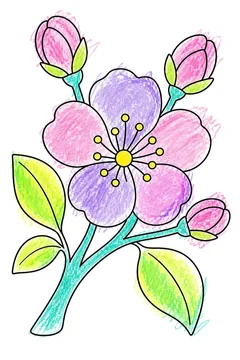 Colored example 1