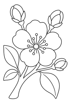 Spring Blossom line art