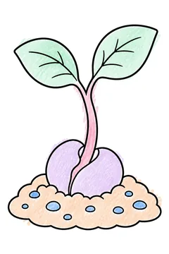 Colored example 2
