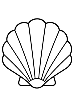 Scallop Shell line art