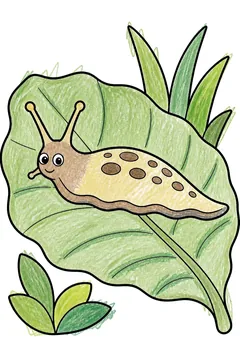 Colored example 3