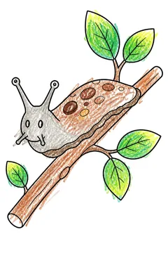 Colored example 1