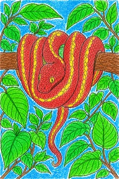 Colored example 1