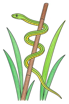 Colored example 2