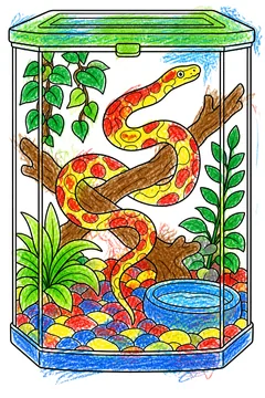 Colored example 1